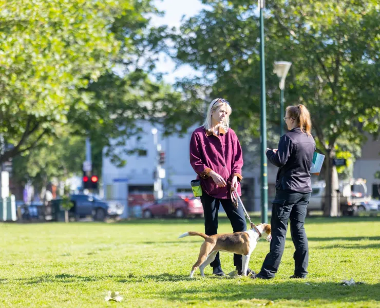Two individuals and a dog on a leash in a park