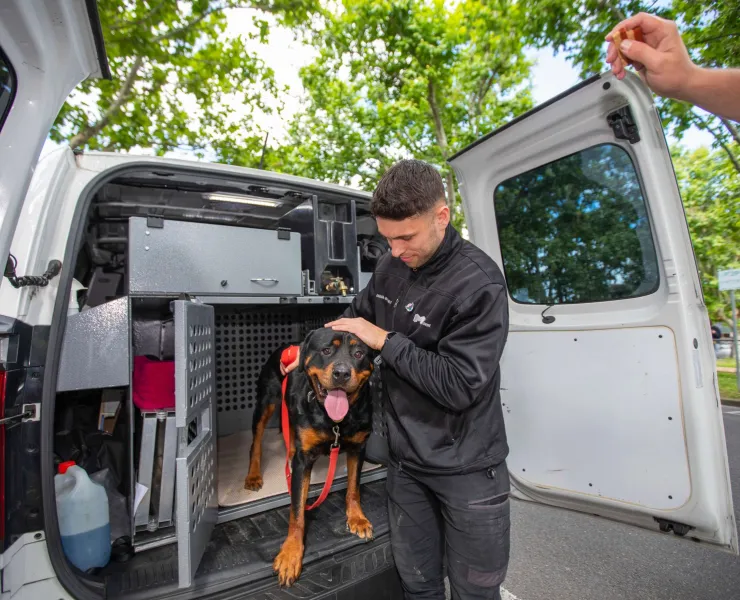 Person petting a dog in an opened animal cage located in the back of a van.