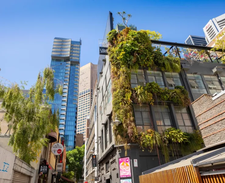 Building with green facade in Meyer's place