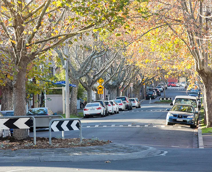 A tree-lined residential street with cars parked along the kerb.