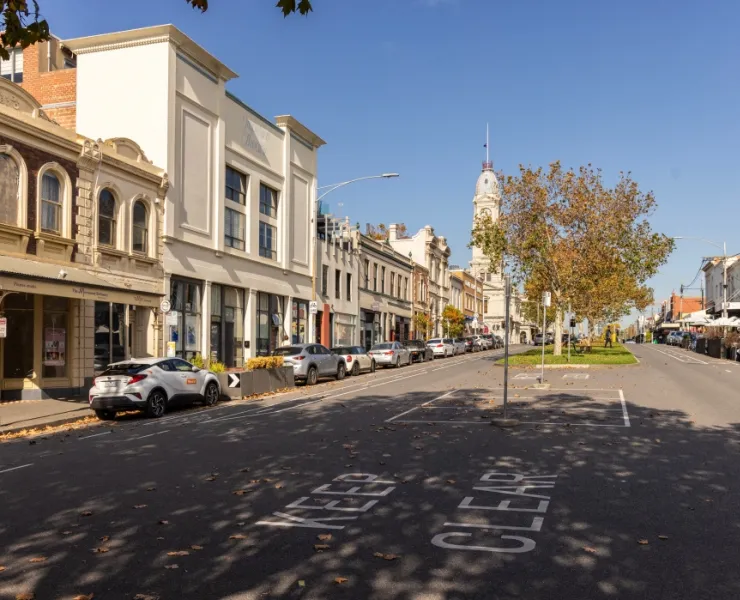 A road with trees on a dividing strip and heritage buildings