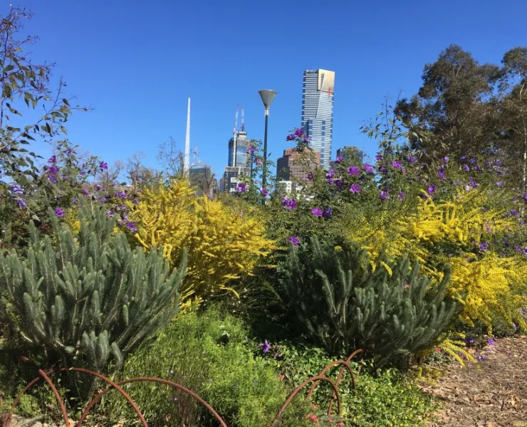 Plants and bushes with city buildings in the background
