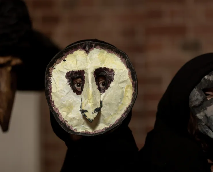 A mask resembling an owl with a white face
