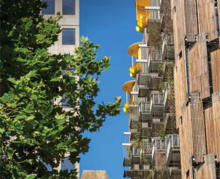 Green Our City Strategic Action Plan front cover- vines on Council House 2 facade with adjacent mature trees