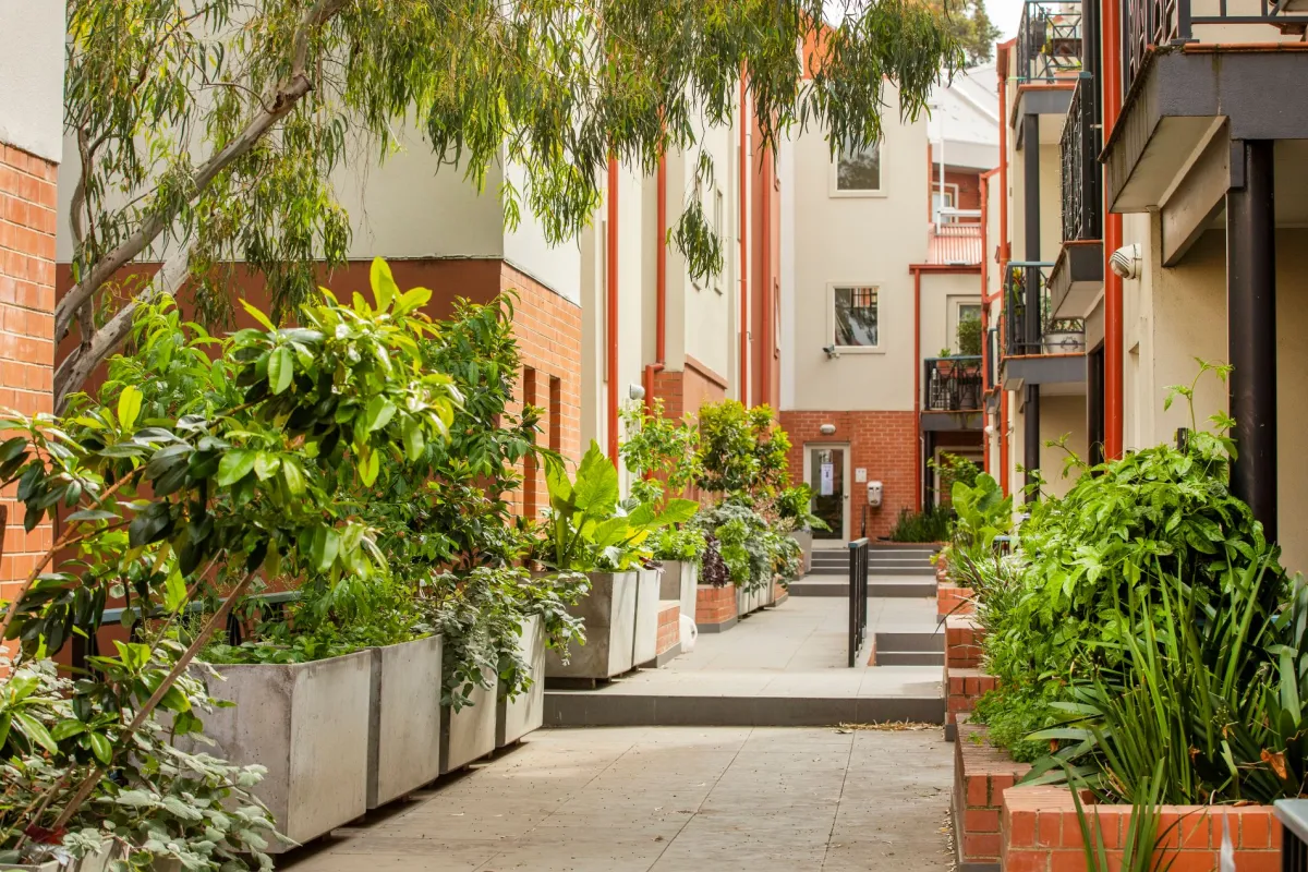 Garden between apartment buildings