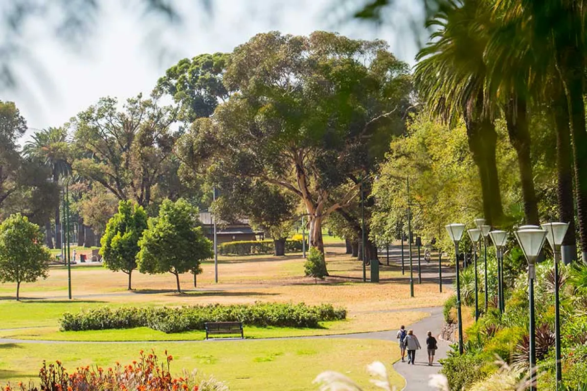 View of a path in a park with over hanging trees
