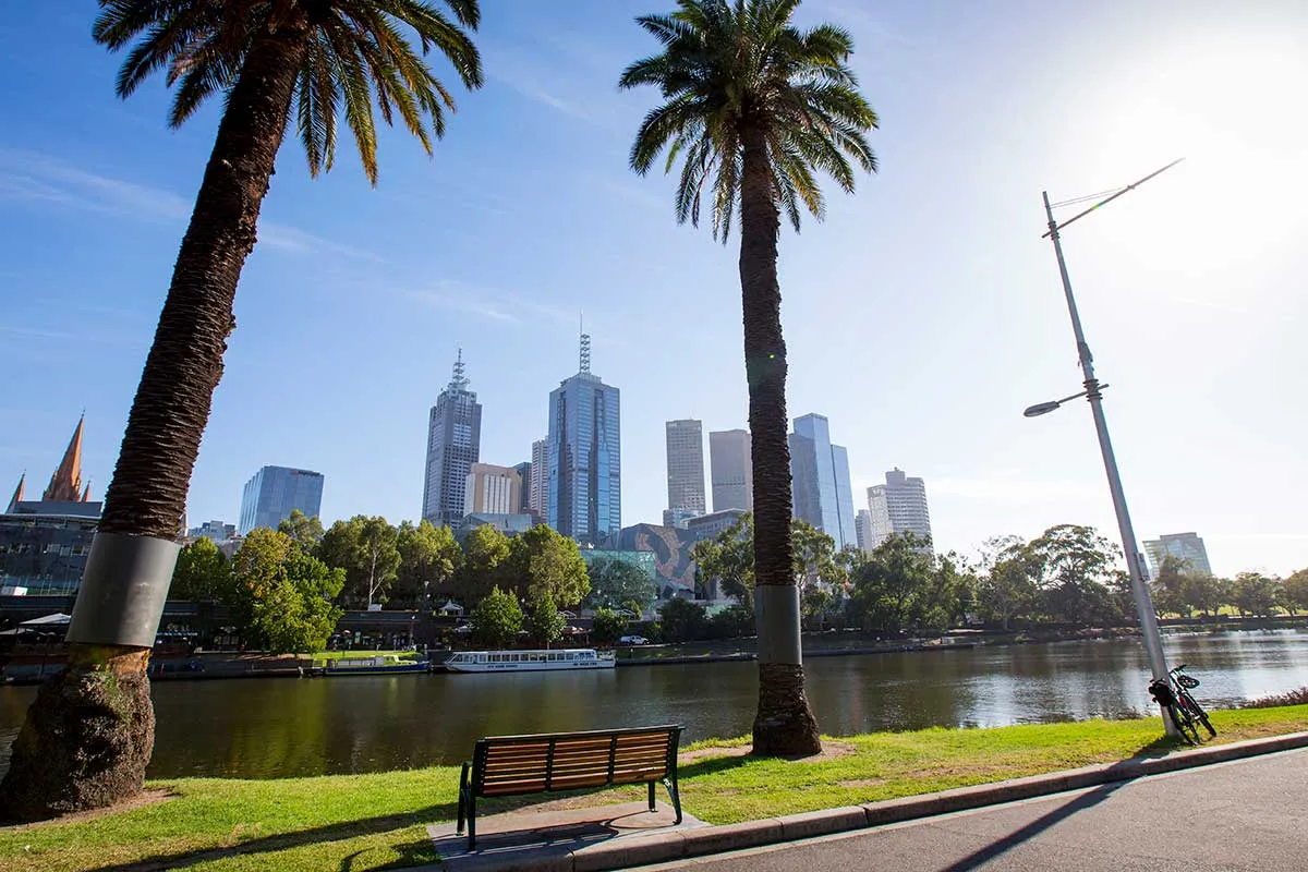 A park bench and palm trees next to a river in front of city buildings