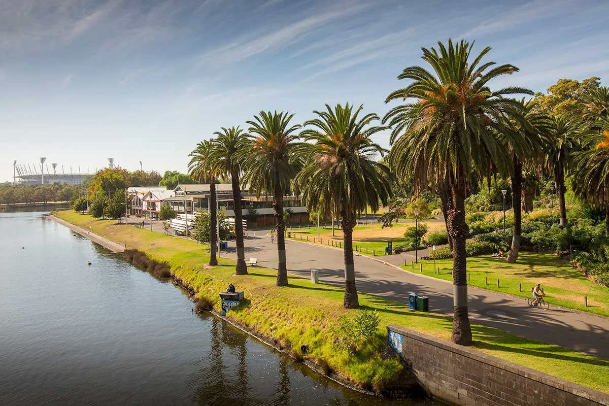 Palm trees and path along a river