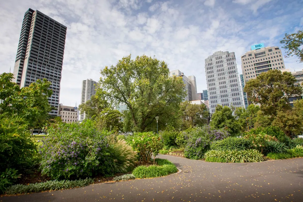 A park with city buildings in the background