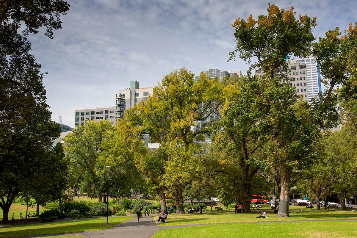 Trees in a park with city buildings behind
