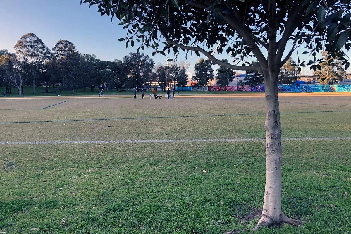A sports oval in a park