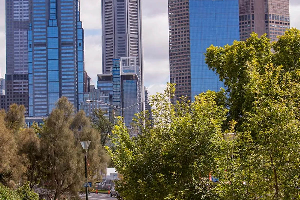 Trees and city buildings in the background