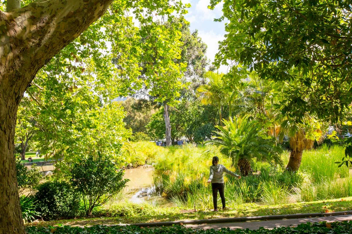 A person stretching in front of a pond and greenery