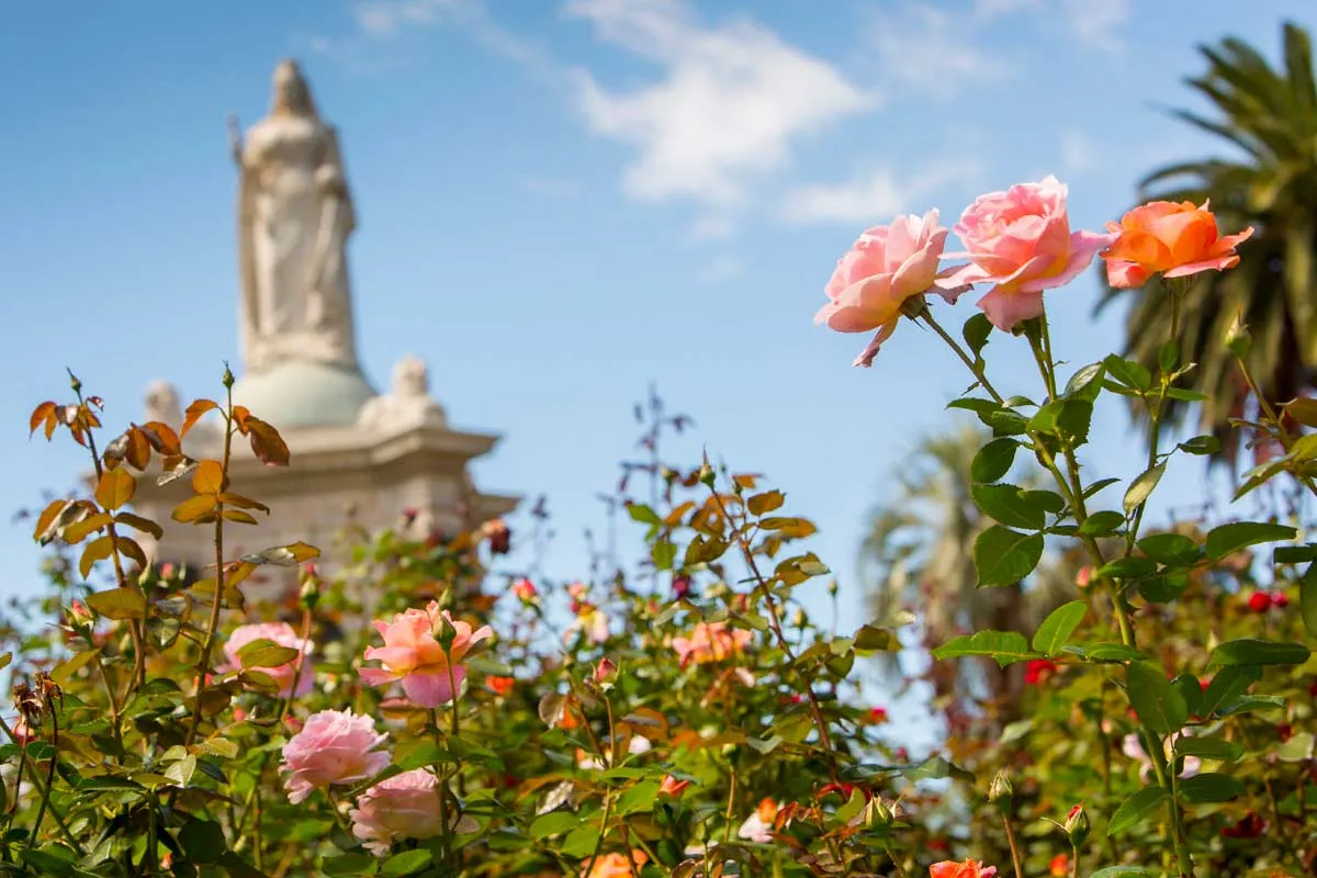 Roses with a white statue behind
