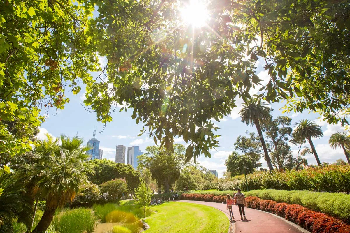 People walking on a park path with tree leaves in front