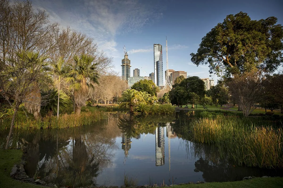 A lake with trees and city buildings behind