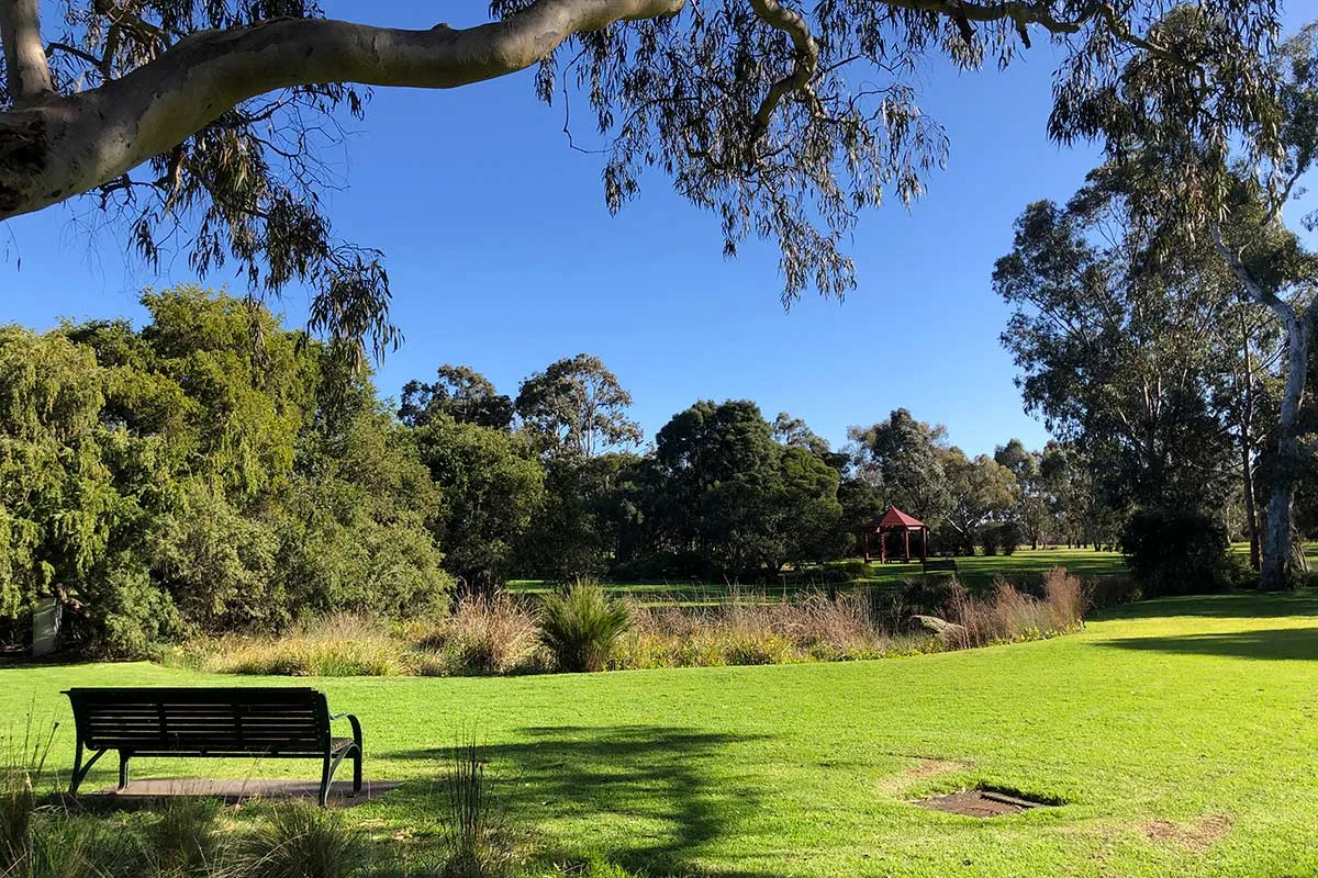 A bench in a park with green grass and native plants