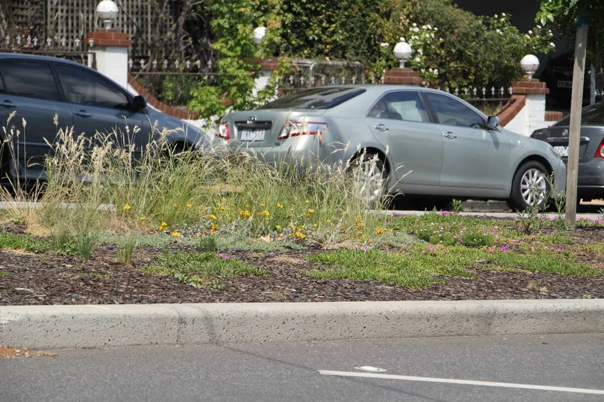 A median strip with grassy vegetation