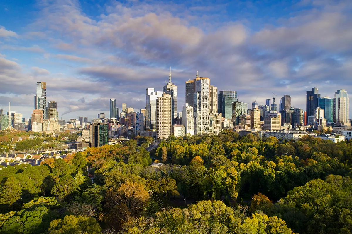 An aerial view of trees and city buildings