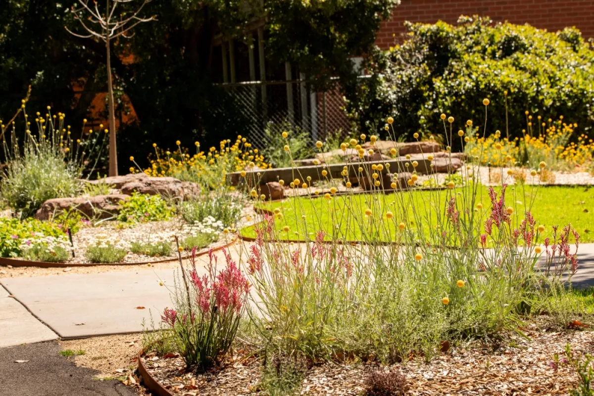 Round garden beds with flowering plants and grasses