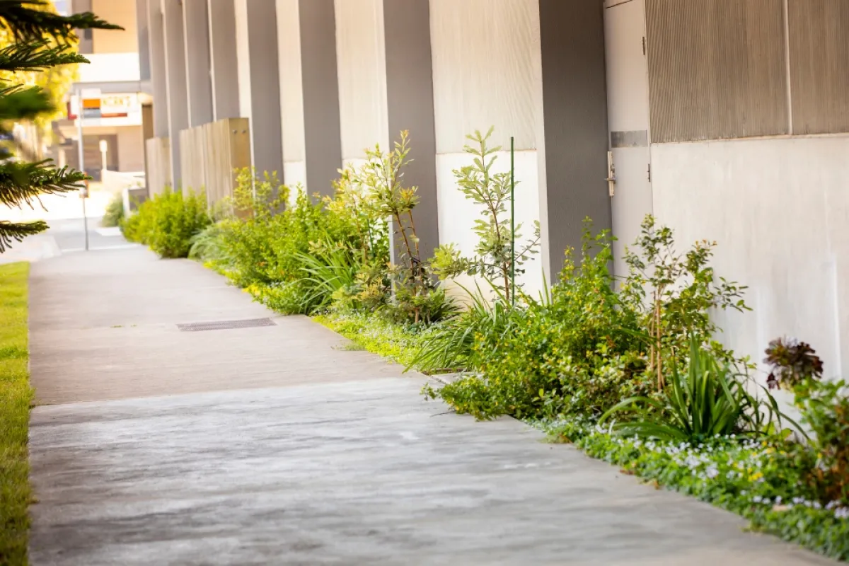 A path next to a concrete apartment block lined with green plants