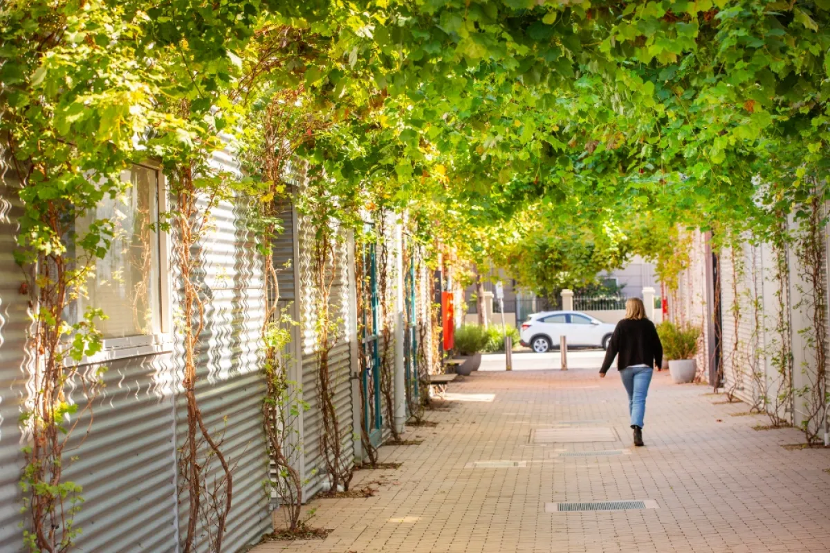 A woman walking down a laneway with a canopy of green plants