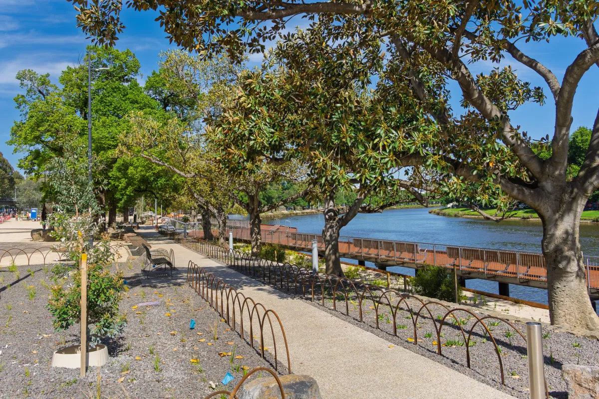 New paths and plants at the Birrarung Marr Precinct